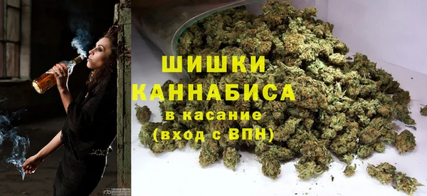 индика Верхнеуральск