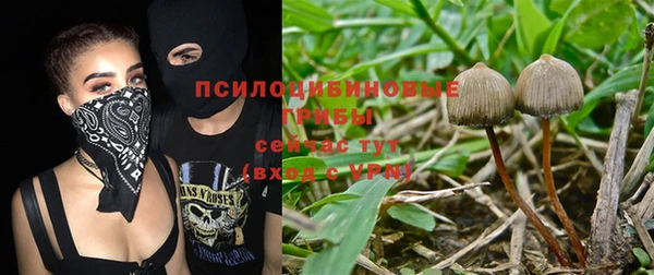 индика Верхнеуральск