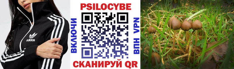 Псилоцибиновые грибы ЛСД  Купить где  Петровск-Забайкальский 
